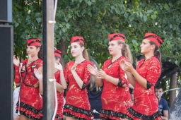 falunap2014_17_20180901